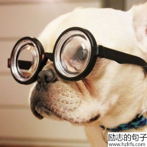 拿你当人的时候，你尽量走人道好吗