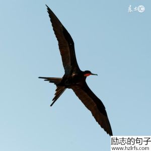 经典语录：长得漂亮是优势，活得漂亮是本事